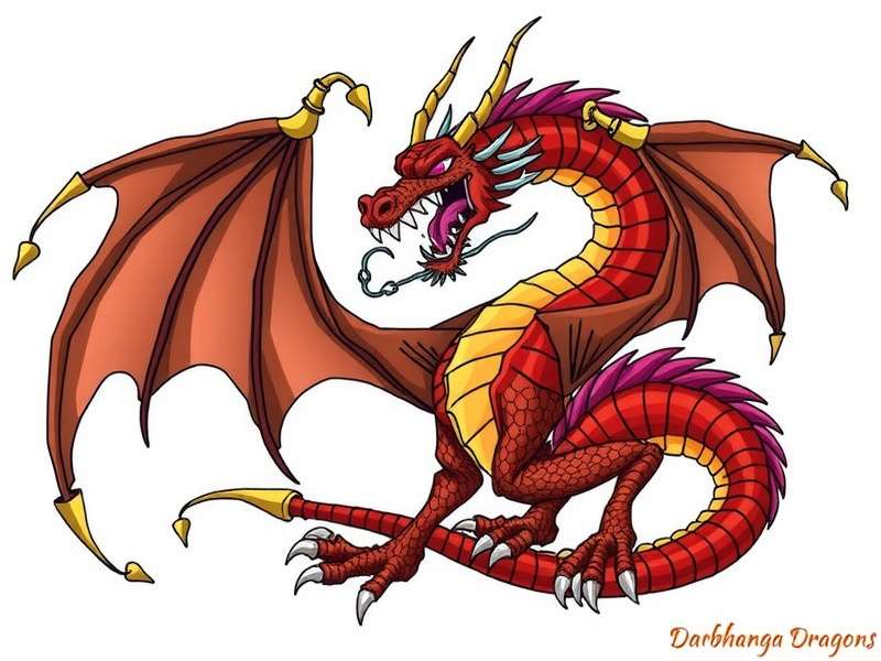 Darbhanga Dragons Community Forum